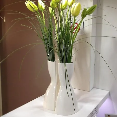 Hotel Ligure 3*