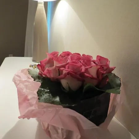 호텔 오뗄 리구리아 칸느