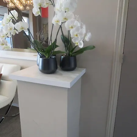 Hotel Ligure Cannes
