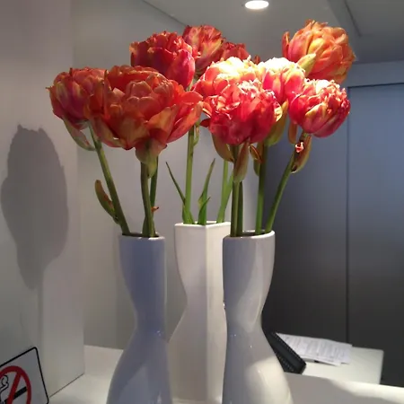 Ligure Hotel Cannes